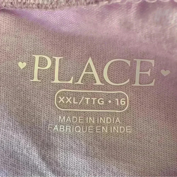 The Children's Place Girls Pumkin Spice Graphic tee & Princess Goals Tee (596) - Picture 13 of 15